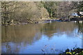 SE1962 : Weir, River Nidd by N Chadwick