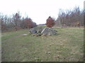 Standing stone at Woodside of Stoneygroves