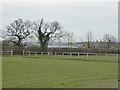 SJ4568 : Over the hedge is Ardens Tile Farm by Eirian Evans