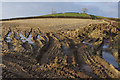 SD5275 : Farmland near Deerslet by Ian Taylor