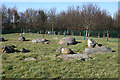 Balgarthno Stone Circle (5)