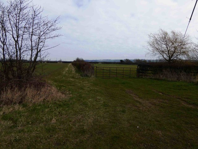 Gate into farmland off Holmes Lane