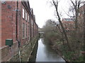 The River Rother from the bridge at the foot of Hady Hill