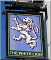 SN5300 : White Lion name sign, Llanelli by Jaggery
