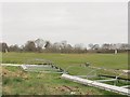 Sandbach Cricket Club, Hind Heath Road