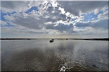 TM4249 : The view south west from Orford Quay by Michael Garlick