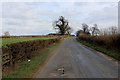 Lane Heading East between Newton-le-Willows and Bedale