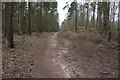 Opencast Way towards Raventhorpe