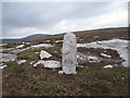 S6936 : Standing Stone by kevin higgins