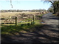 Grouse Road looking north eastwards from driveway