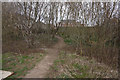 SE9107 : Path leading to St Nicholas Court by Ian S