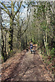 Track near Knapp Farm, Dunkeswell