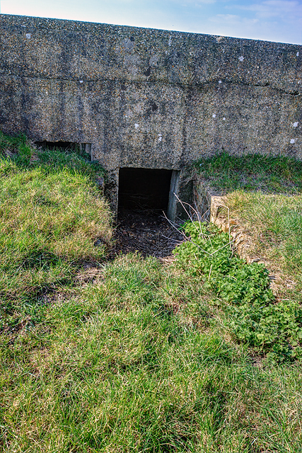 WWII coastal defences of SW Hampshire today - Taddiford Gap pillbox (4)