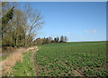 Steeple Morden: towards Hillside Farm