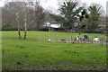 Poors allotments, Burrowhill