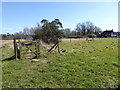 TQ2532 : Farmland by bridleway west of the A23 by Shazz