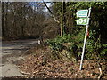 Looking into Cartersledge Lane from Horsham Road