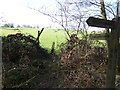 Footpath sign in woodland near Hyde Gill