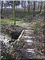 Footbridge over Newstead Gill