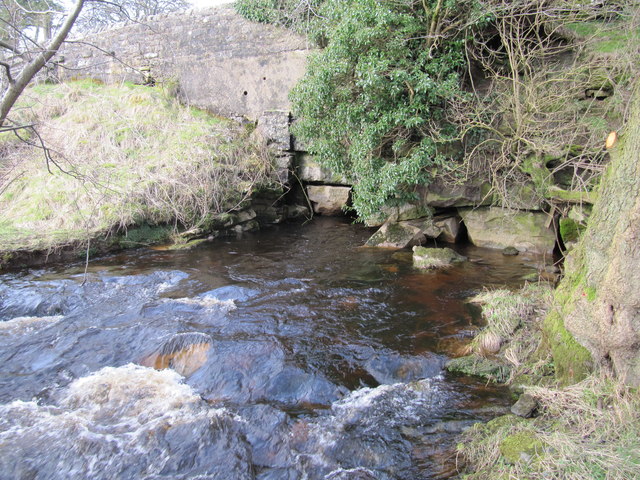 Nidd Heads, North West Rising © David Tyers cc-by-sa/2.0 :: Geograph ...