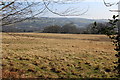 Pasture east of Penmaen farmyard