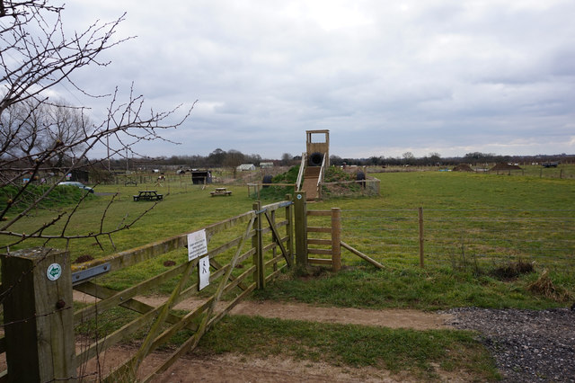 pink-pig-farm-near-scunthorpe-ian-s-geograph-britain-and-ireland