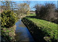 Cocker Beck at Marlock Bridge, Lowdham