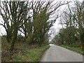 Cornish hedges and walls, Try Valley