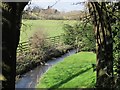 SE3551 : Stream behind Spofforth Castle by Stephen Craven