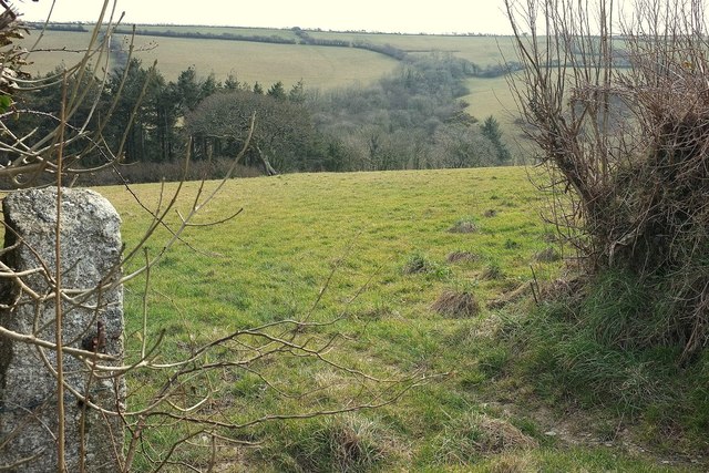 Field by Deerpark Wood