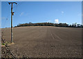 Up hill to the chalk pit