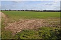 Field near Radbrook Manor