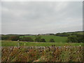 View of Woody Close Farm from the south