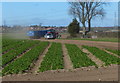 Farmland at Staythorpe