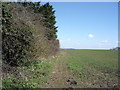 Footpath to Silsoe