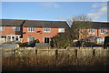 Houses, Chestnut Grove