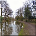 Bridgewater Canal