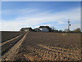 Mill  Farm  at  the  top  of  the  field