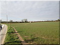 Footpath  over  field  toward  High  Catton