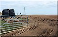 Field near Bury Down