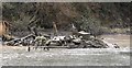 Ship Wreck in Afon Teifi