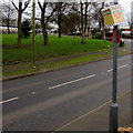 Kill Your Speed notice on a Pucklechurch lamppost