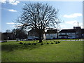 Village green, Toddington