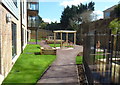 Care Home Garden