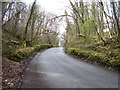 Road up from Pont Cych