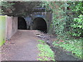 Path by the canal feeder south of the railway line