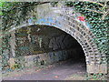 North portal of one of the twin tunnels under the railway line