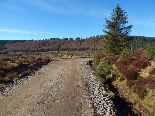 Path junction on Darleith Muir