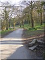 Entrance drive to Penrose Estate