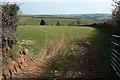 Field, Landare Farm